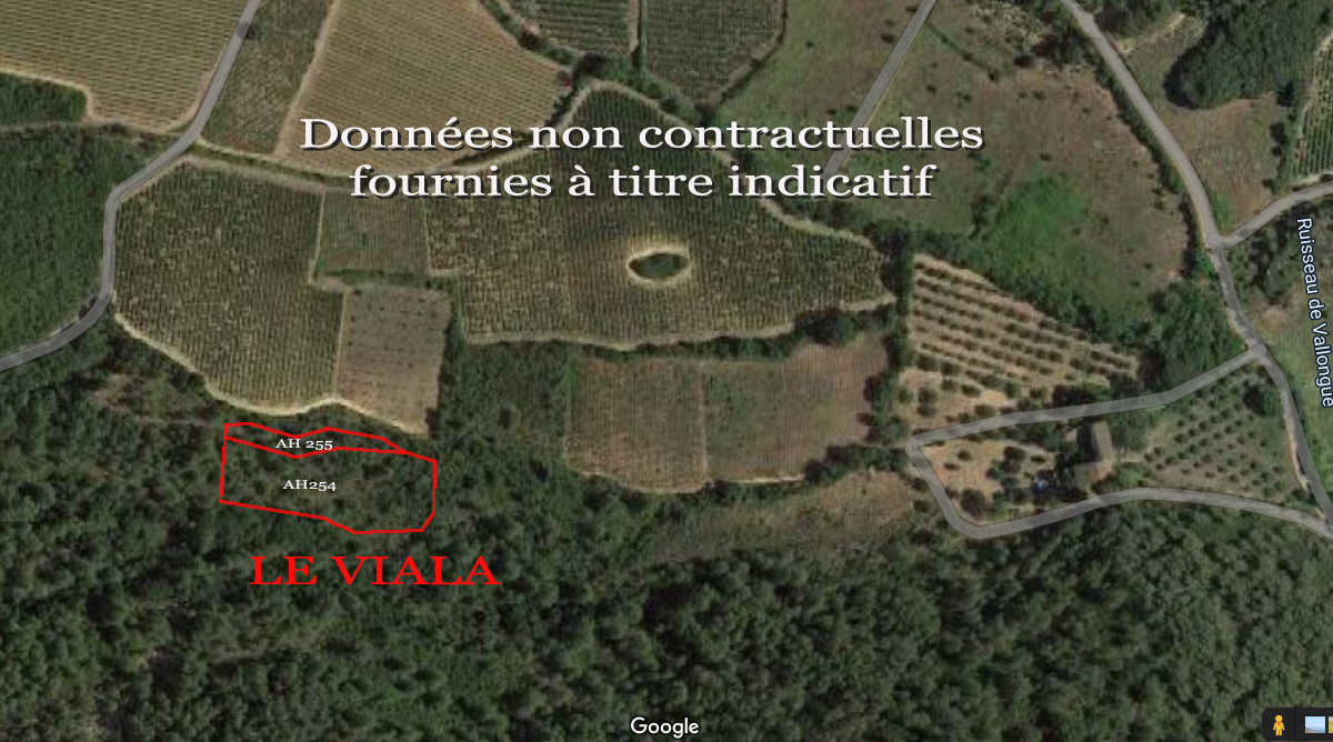 Seconde photo