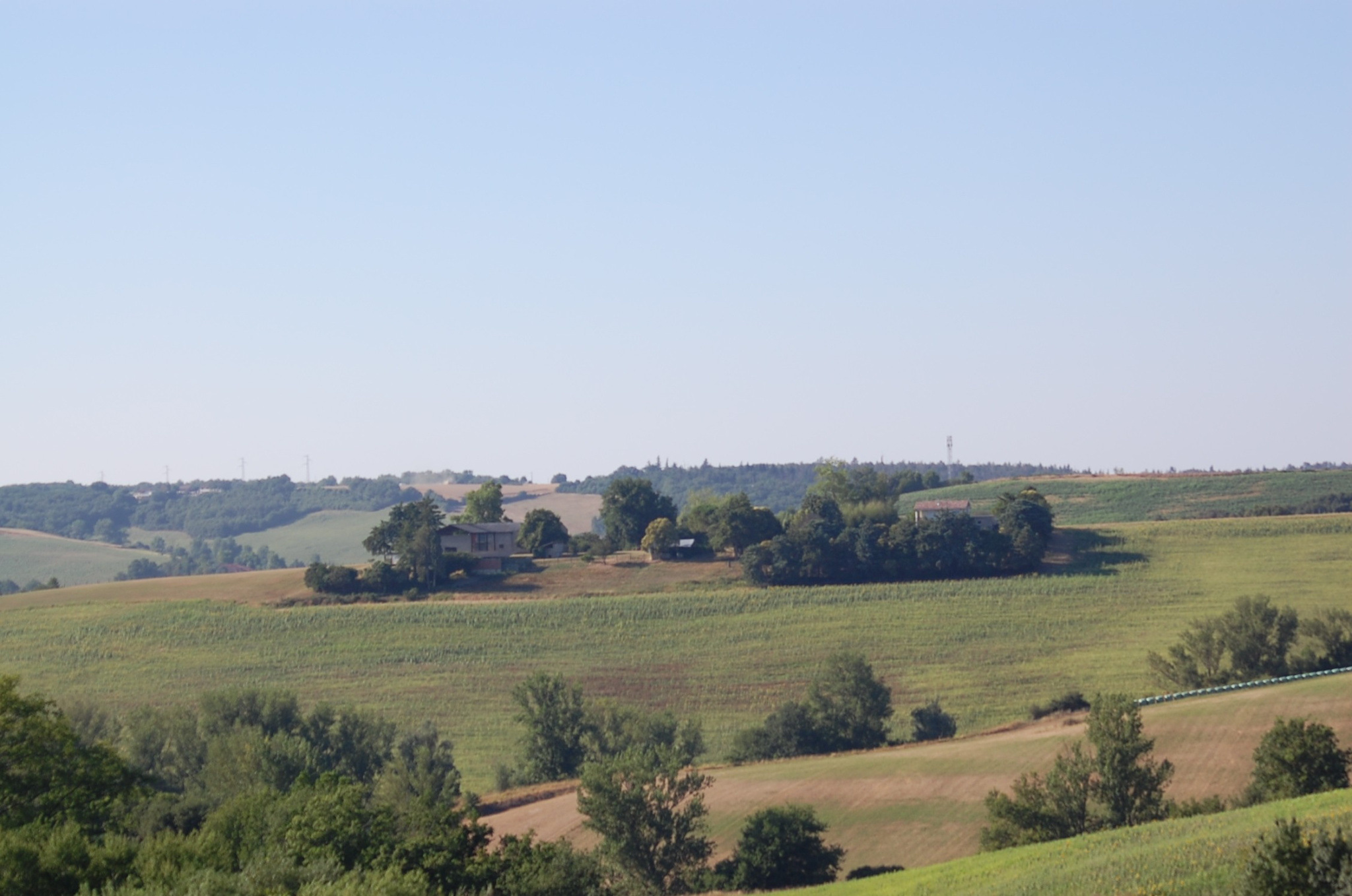 Agence immobilière de  Idimmo 31