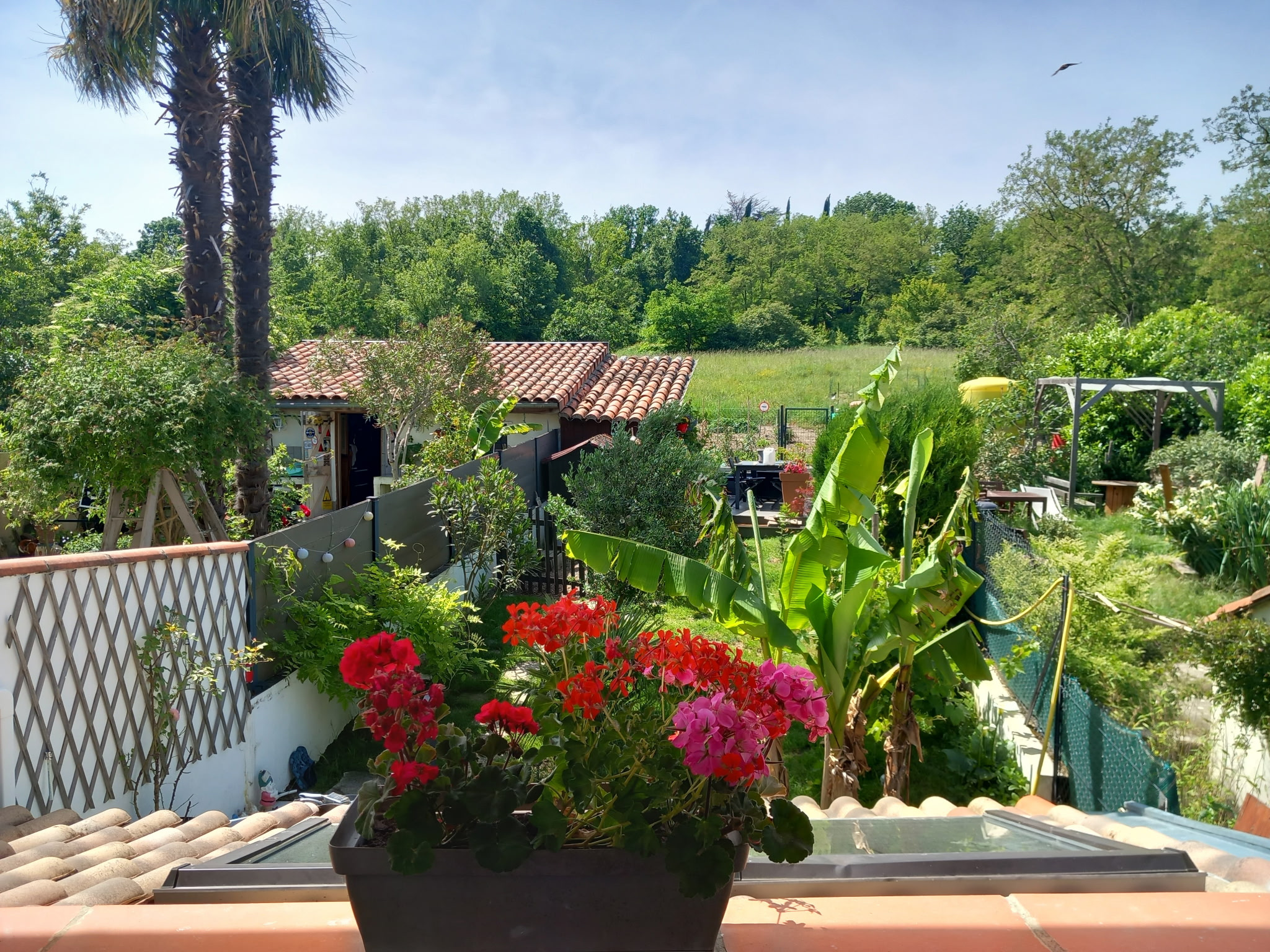Agence immobilière de  Idimmo 31
