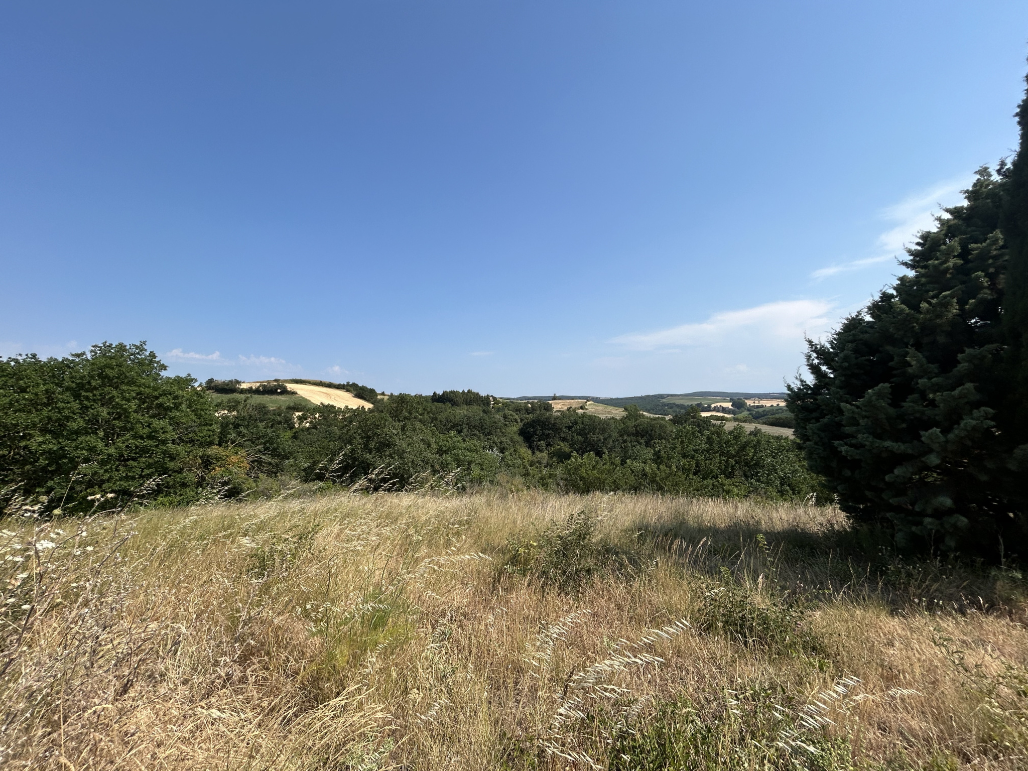 Terrain à bâtir