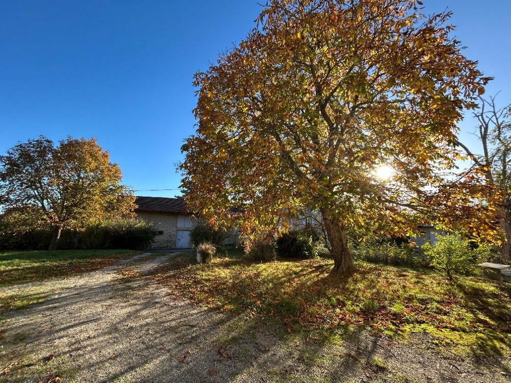 Agence immobilière de Le Tuc Bram-agence Averoux